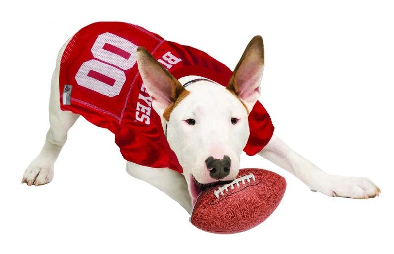Pets First NCAA College Ohio State Buckeyes Mesh Jersey for DOGS & CATS, XXX-Large. Licensed Dog Jersey with your Favorite Football/Basketball College Team - Image 5